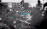 Evocca College